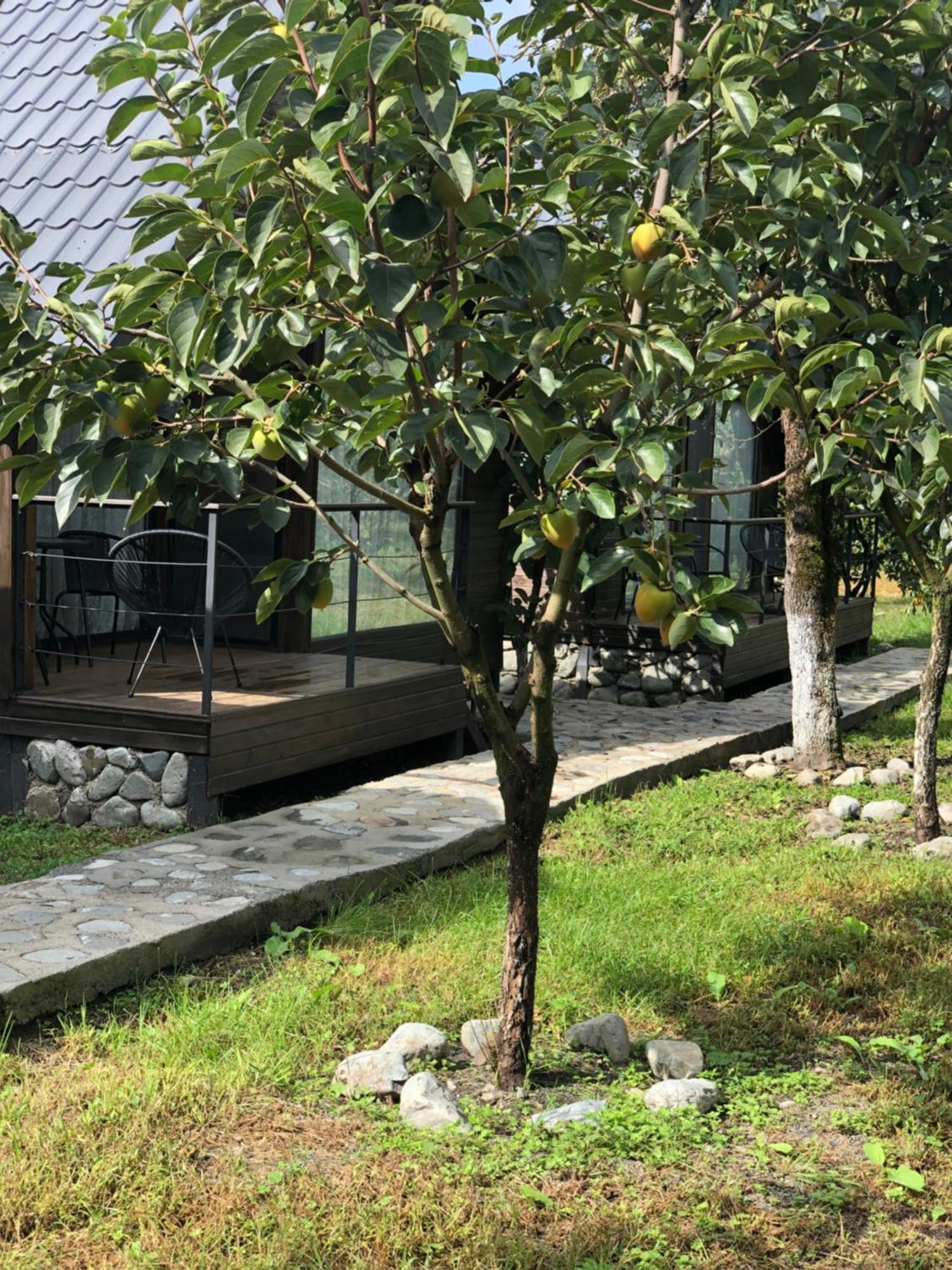 Wood House 拉戈代希 外观 照片